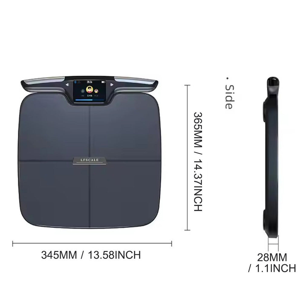 Intelligent Electronic  Human Body Scale - The Body Pod